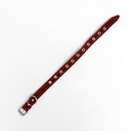 Ошейник кожаный однослойный безразмерный, 45×2 см, ОШ 18-39 см, коричневый