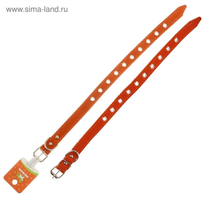 Ошейник кожаный однослойный безразмерный, 45×2 см, ОШ 18-39 см, коричневый