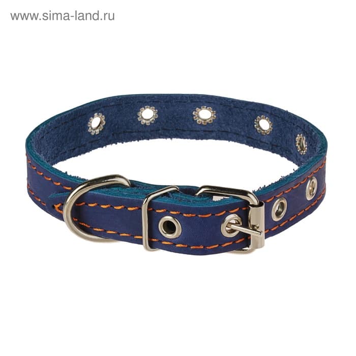 Ошейник однослойный безразмерный, 45×2 см, ОШ 18-39 см, кожа, синий