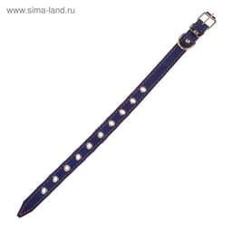 Ошейник однослойный безразмерный, 45×2 см, ОШ 18-39 см, кожа, синий