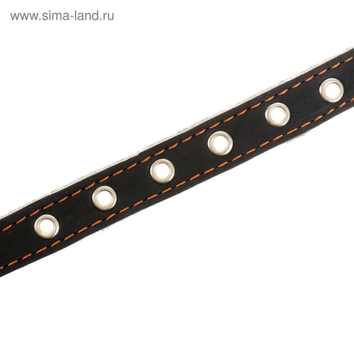Ошейник однослойный безразмерный, 45×2 см, ОШ 18-39 см, кожа, синий