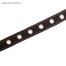 Ошейник однослойный безразмерный, 45×2 см, ОШ 18-39 см, кожа, синий