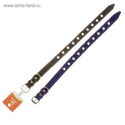 Ошейник однослойный безразмерный, 45×2 см, ОШ 18-39 см, кожа, синий