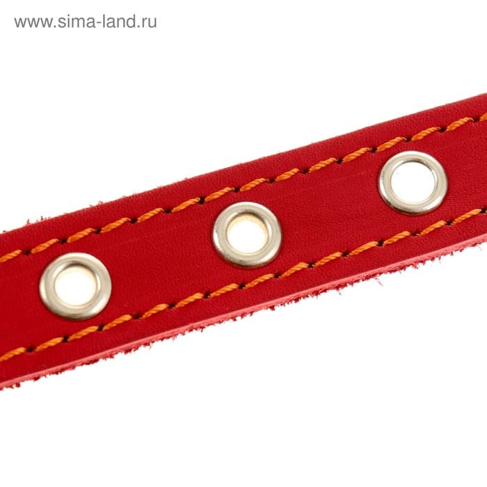 Ошейник кожаный однослойный безразмерный, 45×2 см, ОШ 18-39 см, красный