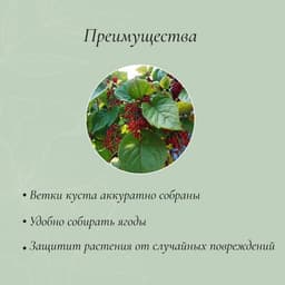 Кустодержатель, d=50 см, h=90 см, ножка d=1 см, металл, набор 2 шт., зелёный