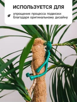 Подвязка для растений «Лягушка», набор 2 шт., зелёная, Greengo