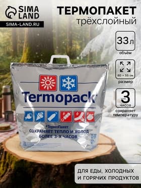 Термопакет трёхслойный, металлизированный, 60×55 см, для еды, холодных и горячих продуктов