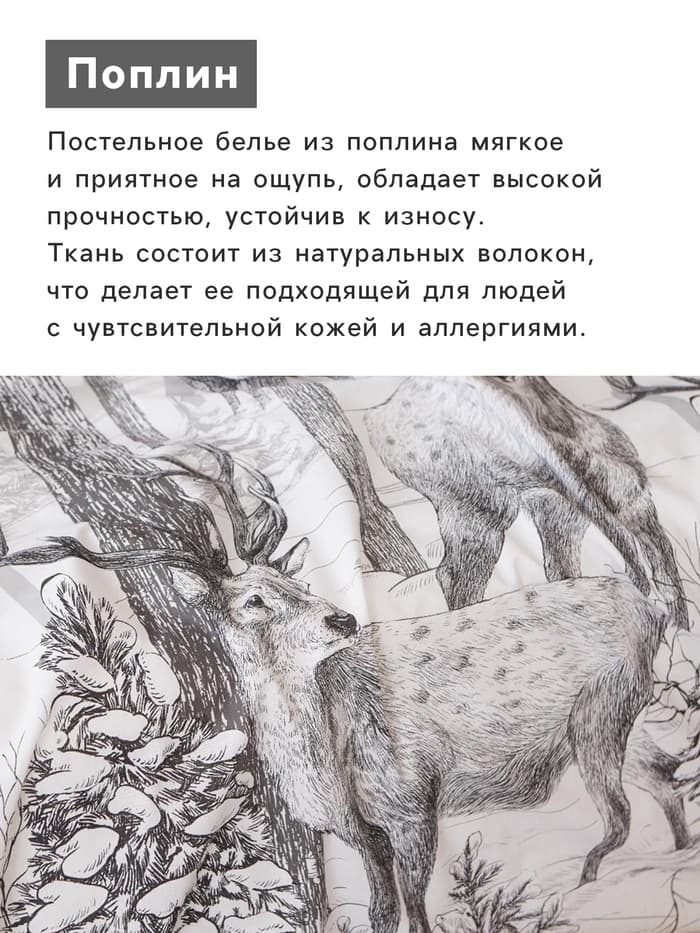 Постельное бельё 2-спальное «Этель. Лесная сказка», поплин