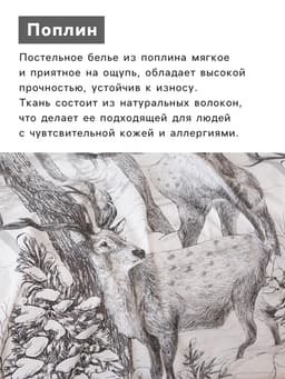 Постельное бельё 2-спальное «Этель. Лесная сказка», поплин