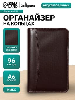 Ежедневник-органайзер Calligrata, А6, 96 листов, на молнии, обложка из искусственной кожи, МИКС