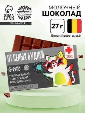 Шоколад молочный «От серых будней», 27 г