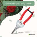 Ножницы садовые, 7" (18 см), с металлическими ручками, обрезиненная ручка, красные, Greengo