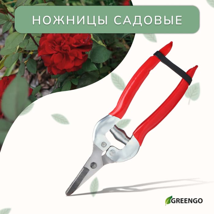 Ножницы садовые, 7" (18 см), с металлическими ручками, обрезиненная ручка, красные, Greengo