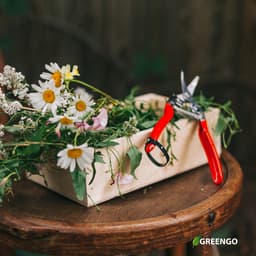 Ножницы садовые, 7" (18 см), с металлическими ручками, обрезиненная ручка, красные, Greengo