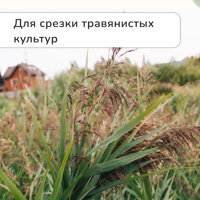 Ножницы садовые, 7" (18 см), с металлическими ручками, обрезиненная ручка, красные, Greengo