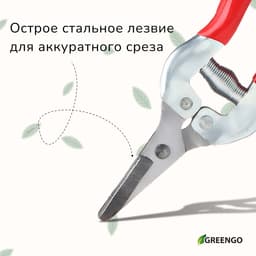 Ножницы садовые, 7" (18 см), с металлическими ручками, обрезиненная ручка, красные, Greengo