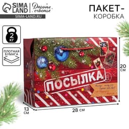 Пакет‒коробка подарочный «Новогодняя посылка», 28×20×13 см