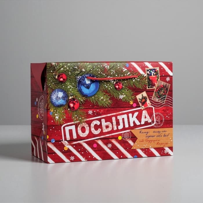 Пакет‒коробка подарочный «Новогодняя посылка», 28×20×13 см