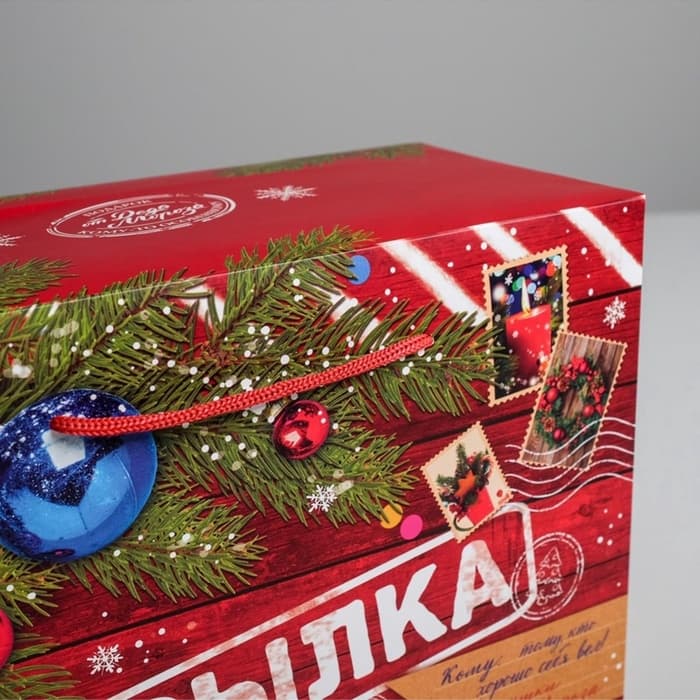 Пакет‒коробка подарочный «Новогодняя посылка», 28×20×13 см