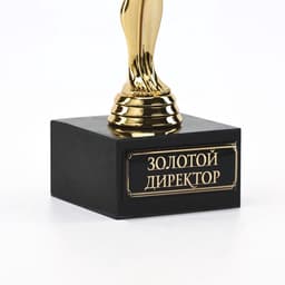 Кубок наградная фигура «Золотой директор», оскар, пластик, подставка камень, 18 см