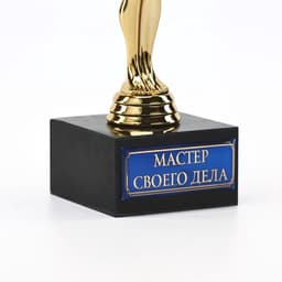 Кубок наградная фигура «Мастер своего дела», оскар, пластик, подставка камень, 18 см
