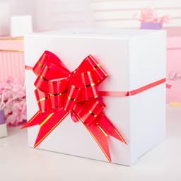 Подарочный Бант - бабочка №4.5, красный, для упаковки подарков