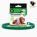 Биоошейник от паразитов для кошек и собак «Пижон Premium», 35 см, зелёный