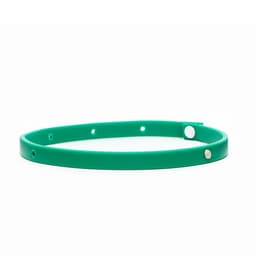 Биоошейник от паразитов для кошек и собак «Пижон Premium», 35 см, зелёный