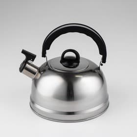 Чайник со свистком «Семейный», 1.9 л, нержавеющая сталь, хромированный