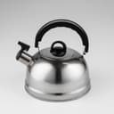 Чайник со свистком «Семейный», 1.9 л, нержавеющая сталь, хромированный