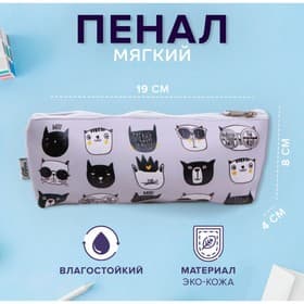 Пенал школьный, искусственная кожа «Следуй за мной» 8×19×4 см