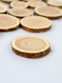 Декор «Спилы», размеры МИКС, возможные размеры спилов: от 2 до 14 см