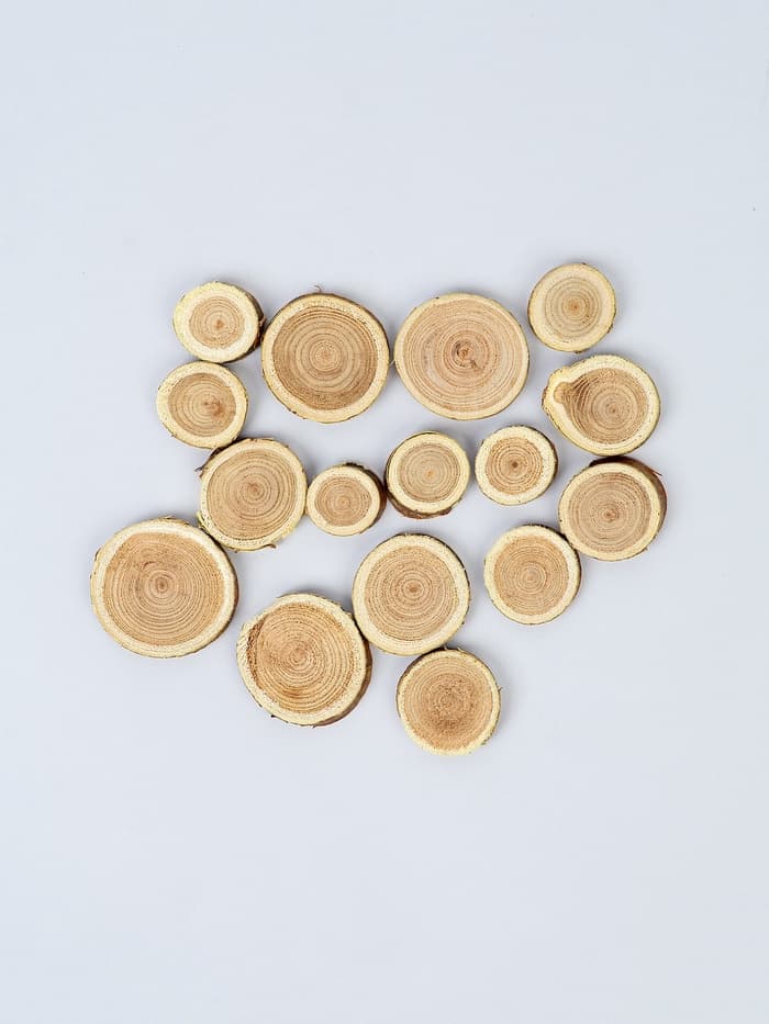 Декор «Спилы», размеры МИКС, возможные размеры спилов: от 2 до 14 см