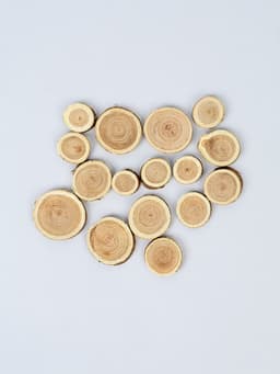 Декор «Спилы», размеры МИКС, возможные размеры спилов: от 2 до 14 см