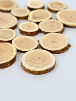 Декор «Спилы», размеры МИКС, возможные размеры спилов: от 2 до 14 см