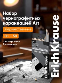 Карандаши чернографитные ErichKrause, 12 штук, разной твёрдости, шестигранные, деревянные, серебристый корпус