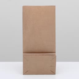 Пакет крафт бумажный фасовочный, прямоугольное дно 12×8×24 см