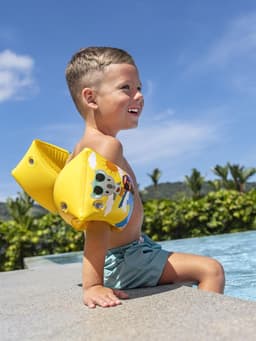 Нарукавники для плавания, 23×15 см, от 3-6 лет, цвет МИКС, 32042 Bestway