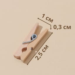 Прищепки Доляна, деревянные, 2.5×0.7 см, 24 шт.