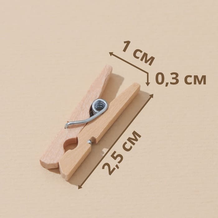Прищепки Доляна, деревянные, 2.5×0.7 см, 24 шт.