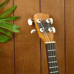 Сувенирный музыкальный инструмент Гитара - укулеле «Тёмная ночь», 55×20×6 см, МИКС