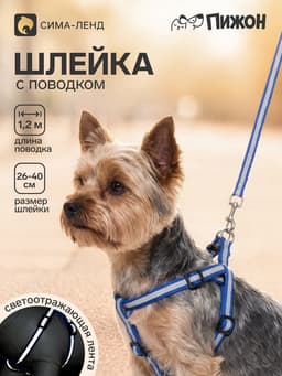 Комплект со светоотражающей лентой, ширина 1 см, поводок 120 см, шлейка 26-40 см, синий