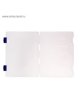 Папка для документов А4 Стамм, 230×305×23 мм, пластик, прозрачный корпус, синие защелки