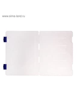 Папка для документов А4 Стамм, 230×305×23 мм, пластик, прозрачный корпус, синие защелки