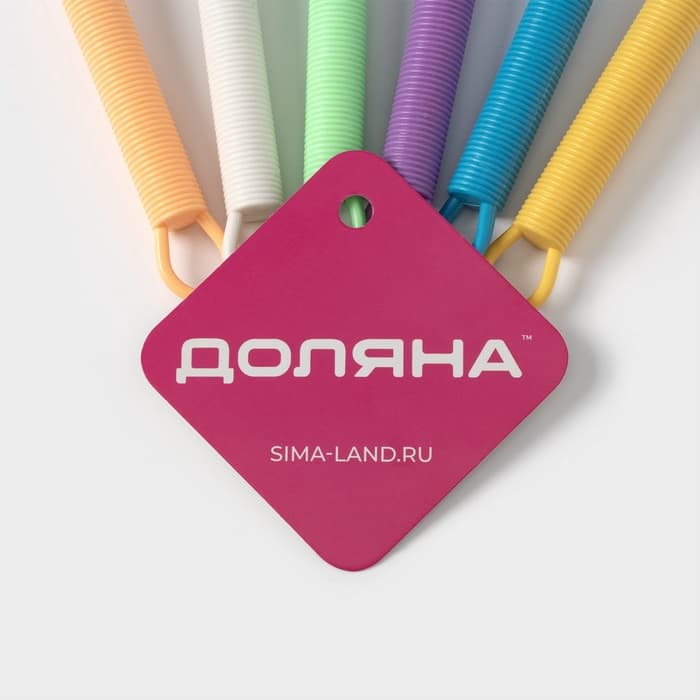 Венчик для взбивания Доляна «Экспресс», 20×4.5 см, нержавеющая сталь, МИКС