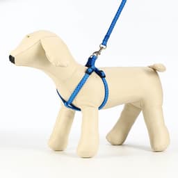 Комплект прошитый «Горошек», ширина 1 см, поводок 120 см, шлейка 23-35 см, синий