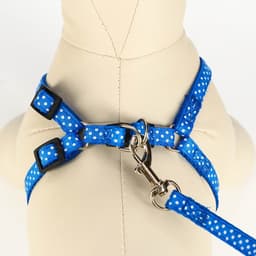 Комплект прошитый «Горошек», ширина 1 см, поводок 120 см, шлейка 23-35 см, синий