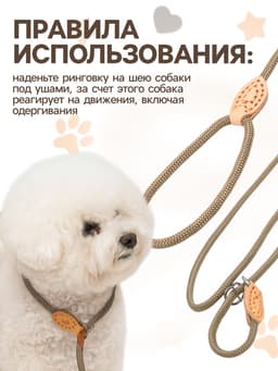 Ринговка для собак, 150×0.6 см, бежевая