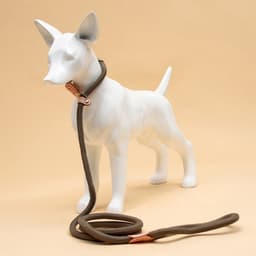 Ринговка для собак, 150×1 см, бежевая