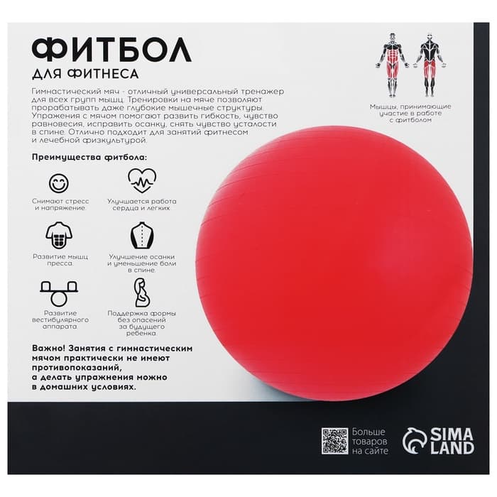 Фитбол ONLYTOP, d=65 см, 900 г, антивзрыв, чёрный